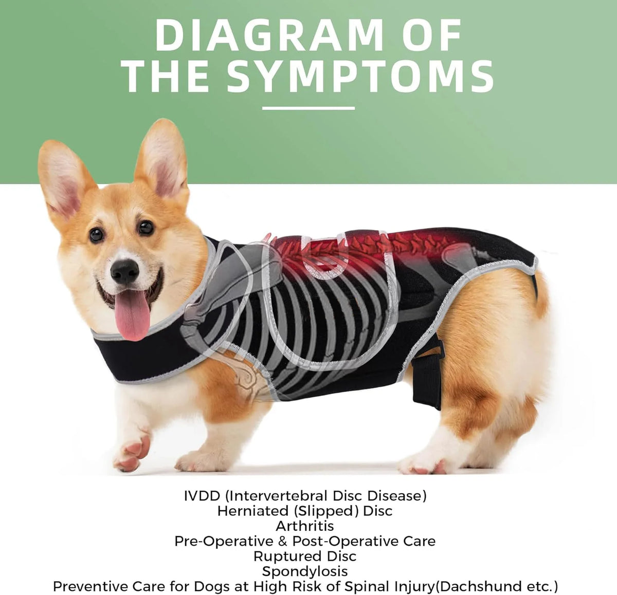 PawRelief™ Support Vest for Dogs