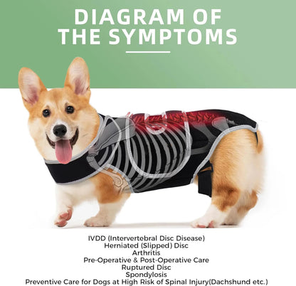 PawRelief™ Support Vest for Dogs