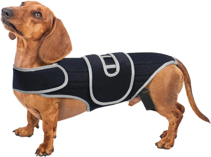 PawRelief™ Support Vest for Dogs