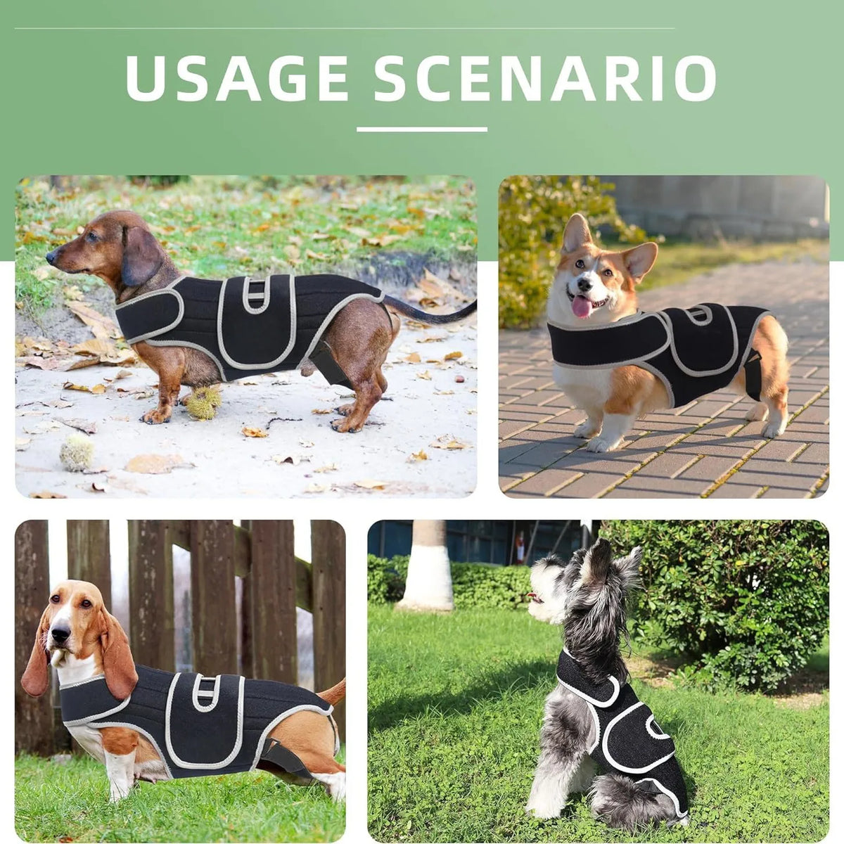 PawRelief™ Support Vest for Dogs