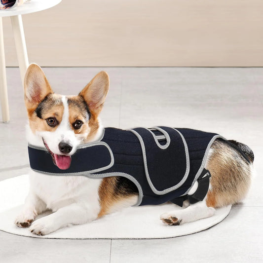 PawRelief™ Support Vest for Dogs
